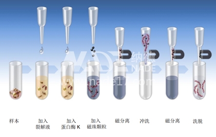 罗氏荧光定量PCR LightCycler 480II 罗氏荧光定量PCR LightCycler 480II
