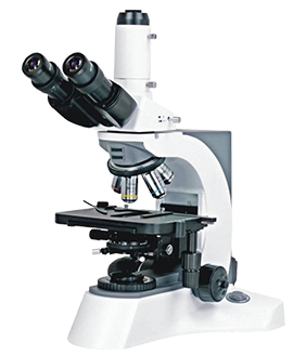 N-800M实验室生物显微镜
