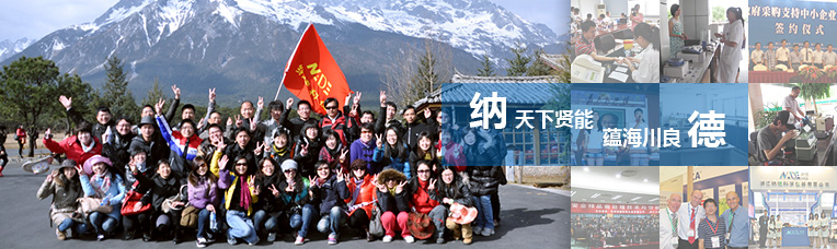 纳德公司团队