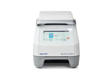 Eppendorf荧光定量 PCR仪